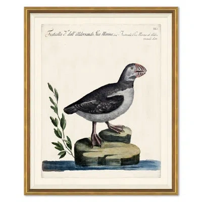 Soicher Marin Odd Birds Painting In Multi
