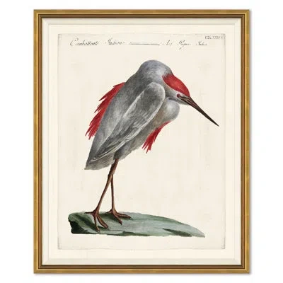 Soicher Marin Odd Birds Painting In Animal Print