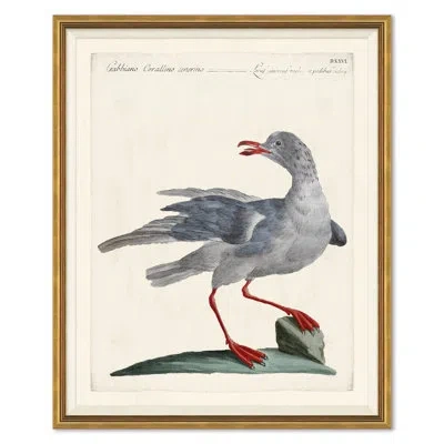 Soicher Marin Odd Birds Painting In Gray