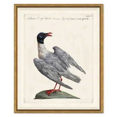 Soicher Marin Odd Birds Painting In Gray