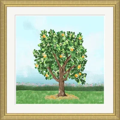 Soicher Marin Orange Blossoms By Yuki Osada - Single Picture Frame Painting In Multi