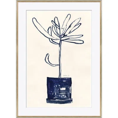 Soicher Marin 'palm 1' By Susan Hable - Picture Frame Painting On Paper In White