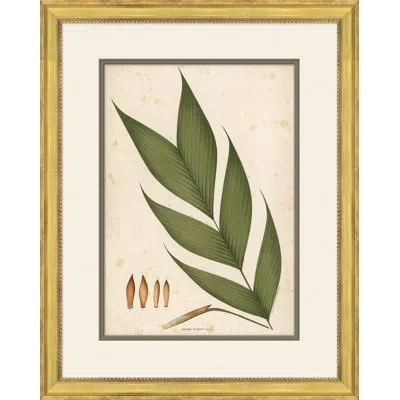 Soicher Marin 'palm Leaves 4' Picture Frame Painting In Brown;green;beige