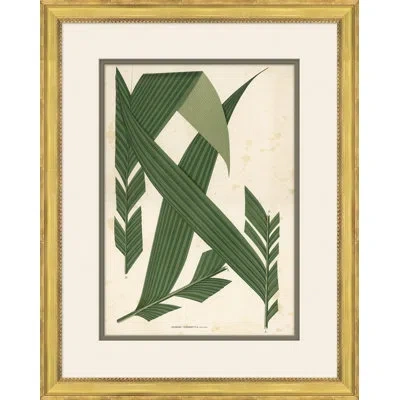 Soicher Marin 'palm Leaves 5' Picture Frame Painting In Green;beige