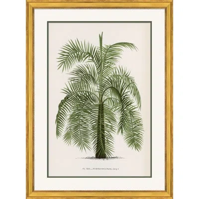 Soicher Marin 'palms 2' Picture Frame Painting In Green;off White