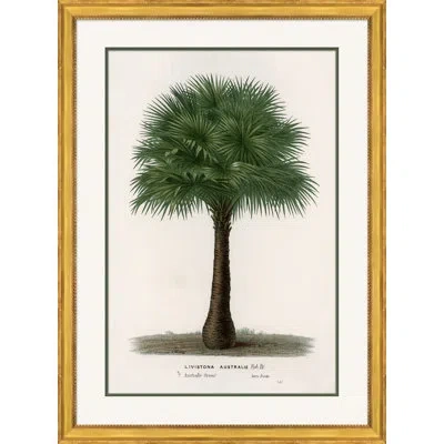 Soicher Marin 'palms 3' Picture Frame Graphic Art In Green;off White