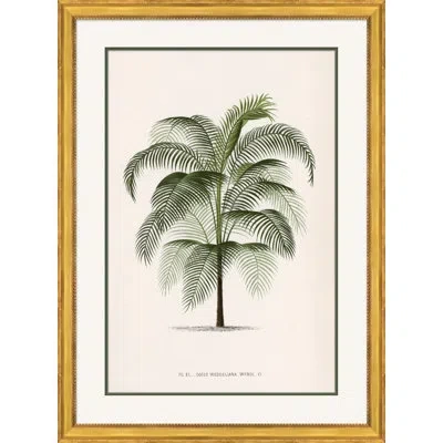 Soicher Marin 'palms' Picture Frame Painting In Green;beige