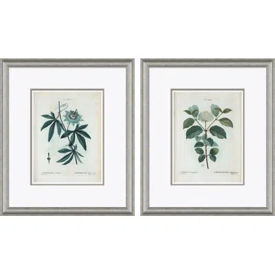 Soicher Marin Passion Flower & Flowering Dogwood By Paul Cezanne - Picture Frame Painting Set On Paper In Green