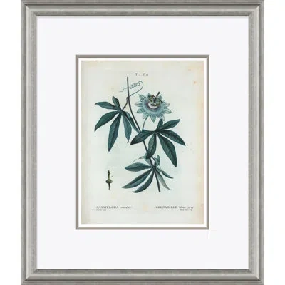 Soicher Marin Passion Flower By Paul Cezanne - Picture Frame Painting On Paper In Green;gray