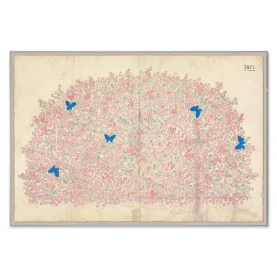 Soicher Marin Paule Marrot, Myosotis (print Only) In Multi