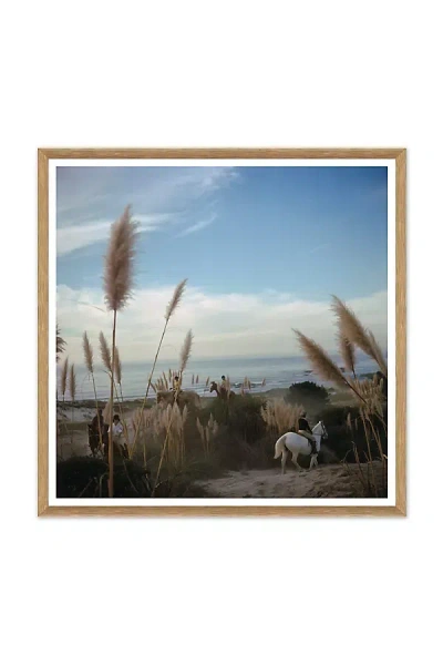 Soicher Marin Pebble Beach Wall Art In Neutral