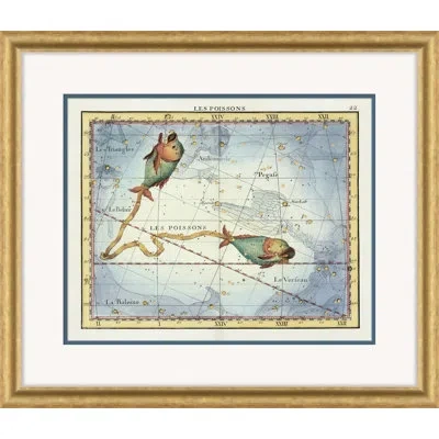 Soicher Marin Pisces By David Phoenix - Picture Frame Painting On Paper In Blue;green;yellow