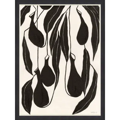 Soicher Marin 'pitchers' By Susan Hable - Picture Frame Graphic Art On Paper In Black