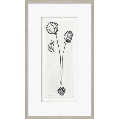 Soicher Marin 'pods' By Susan Hable - Picture Frame Painting On Paper In Black;white