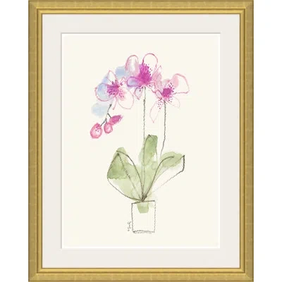 Soicher Marin Potted Orchids By Yuki Osada - Single Picture Frame Painting In Multi