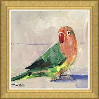 Soicher Marin Rainbow Parakeet By Joseph Mota - Picture Frame Painting In Multi
