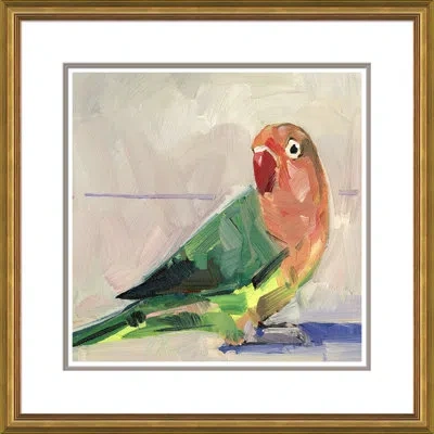 Soicher Marin Rainbow Parakeet By Joseph Mota - Picture Frame Painting In Multi