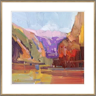 Soicher Marin Red Rock Canyon By Joseph Mota - Picture Frame Painting In Animal Print
