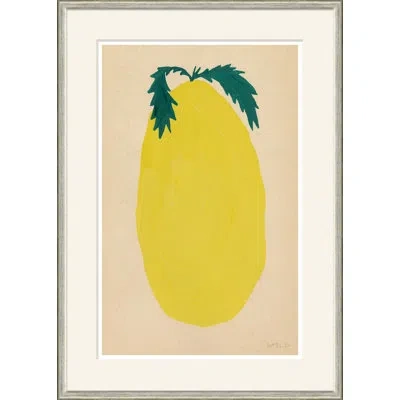 Soicher Marin 'rollinia' By Susan Hable - Picture Frame Painting In Brown;green;yellow
