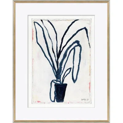 Soicher Marin 'root Bound' By Susan Hable  - Picture Frame Painting On Paper In White