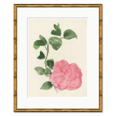 Soicher Marin Rose By Dufy In White