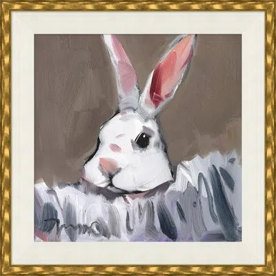Soicher Marin Royal Rabbit In Multi