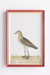 Soicher Marin Rudbeck Swedish Birds Wall Art In Animal Print