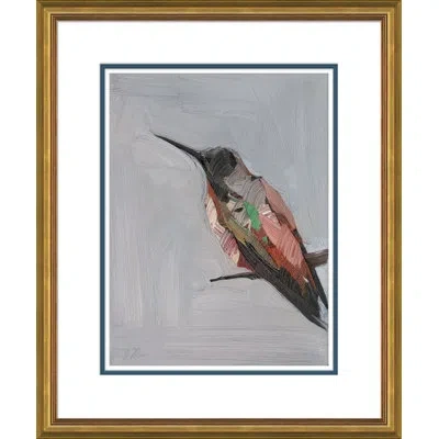 Soicher Marin Rufous Hummingbird By Joseph Mota - Picture Frame Painting In Animal Print