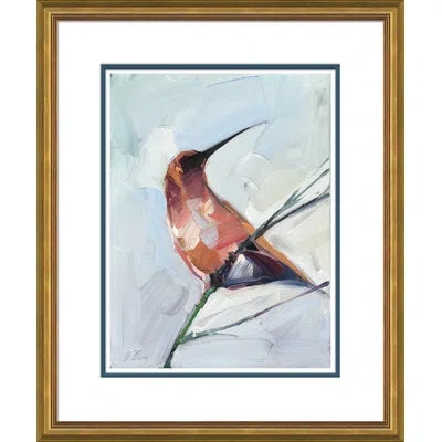 Soicher Marin Rufous Hummingbird By Joseph Mota - Picture Frame Painting In Brown;light Blue