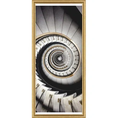 Soicher Marin Scale A Chiocciola By David Phoenix - Picture Frame Graphic Art  On Paper In Multi