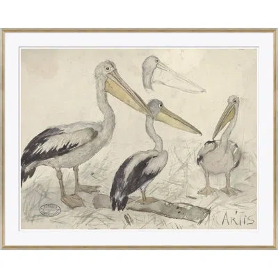 Soicher Marin 'sea Birds 2' - Picture Frame Graphic Art On Paper In Multi