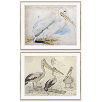 Soicher Marin Sea Birds - 2 Piece Picture Frame Graphic Art Set On Paper In Neutral