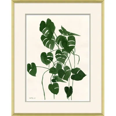 Soicher Marin 'sea Green Palm' By Susan Hable - Picture Frame Painting On Paper In White