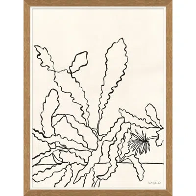Soicher Marin Sedum By Susan Hable - Picture Frame Painting On Paper In Black;beige
