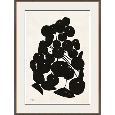 Soicher Marin Sedum Cluster I By Susan Hable - Single Picture Frame Painting In Multi