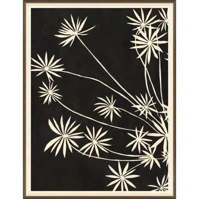 Soicher Marin 'sedum I' By Susan Hable - Picture Frame Painting On Paper In Black