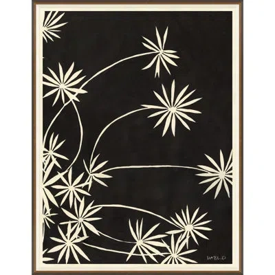 Soicher Marin 'sedum Ii' By Susan Hable - Picture Frame Graphic Art On Paper In Black