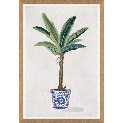 Soicher Marin Shangrilah Palm By Dana Gibson - Picture Framed Graphic Art In Multi