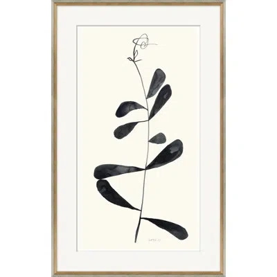 Soicher Marin 'shoot Ii' By Susan Hable - Picture Frame Painting On Paper In Black;beige