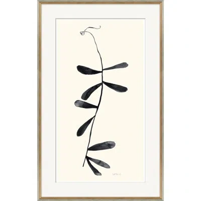 Soicher Marin 'shoot Iii' By Susan Hable - Picture Frame Painting On Paper In Black;beige