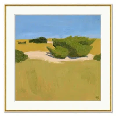 Soicher Marin " Shrubbery, Cape Hatteras " In Multi