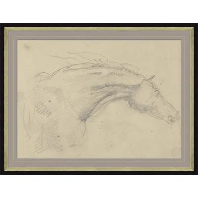 Soicher Marin 'sketch Of Horses Head' - Picture Frame Sketches Drawing Print On Paper In Black;beige