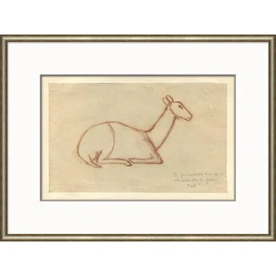 Soicher Marin Sketch Series 'at The Zoo - Sepia Deer Laying' Picture Frame Painting In Neutral