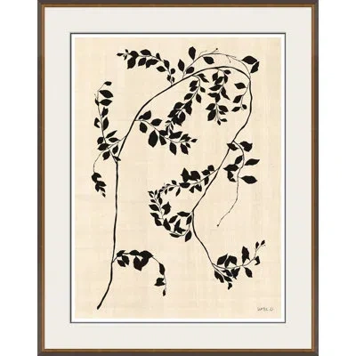 Soicher Marin Smylax By Susan Hable - Single Picture Frame Painting In Black
