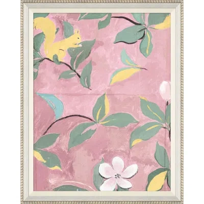 Soicher Marin Squirrel 2 (var. 1) By Paule Marrot - Single Picture Frame Print In Pink