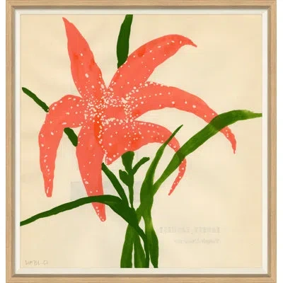 Soicher Marin 'star Lily' By Susan Hable - Picture Frame Painting On Paper In Multi