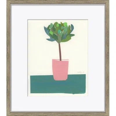 Soicher Marin Still Life Series - Topiary By Susan Hables - Picture Frame Painting On Wood In Animal Print