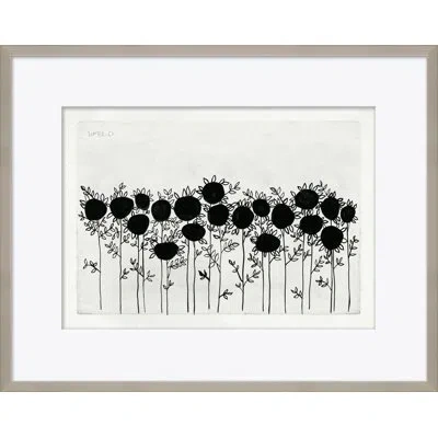 Soicher Marin 'sunflowers' By Susan Hable - Picture Frame Painting On Paper In Black;white