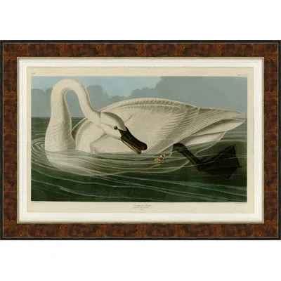 Soicher Marin Swan - Picture Frame Painting On Canvas In Black;green;ivory