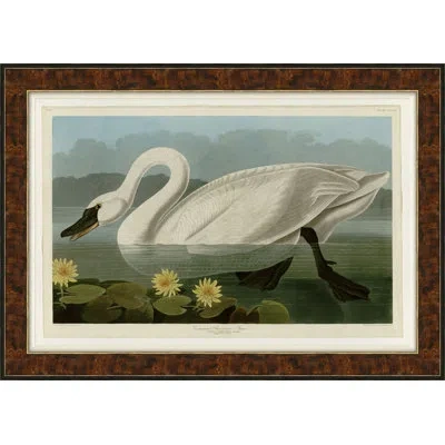 Soicher Marin Swan - Picture Frame Painting On Canvas In Black;green;yellow;ivory